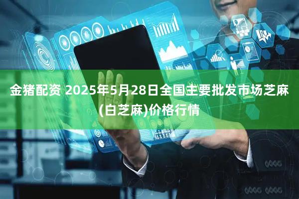 金猪配资 2025年5月28日全国主要批发市场芝麻(白芝麻)价格行情