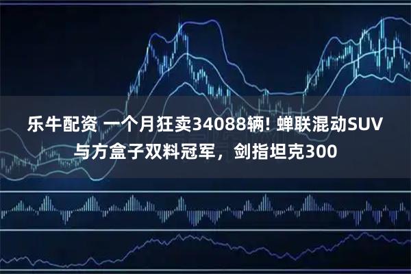乐牛配资 一个月狂卖34088辆! 蝉联混动SUV与方盒子双料冠军，剑指坦克300