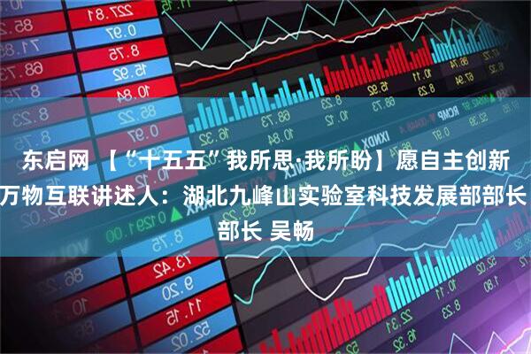 东启网 【“十五五”我所思·我所盼】愿自主创新推动万物互联讲述人：湖北九峰山实验室科技发展部部长 吴畅