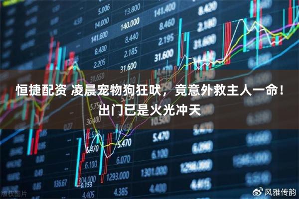 恒捷配资 凌晨宠物狗狂吠，竟意外救主人一命！出门已是火光冲天