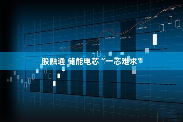 股融通 储能电芯“一芯难求”